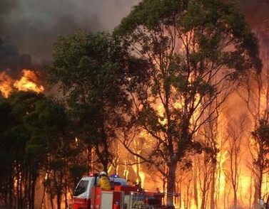 Vedetele se mobilizează pentru finanţarea luptei împotriva incendiilor de vegetaţie din Australia