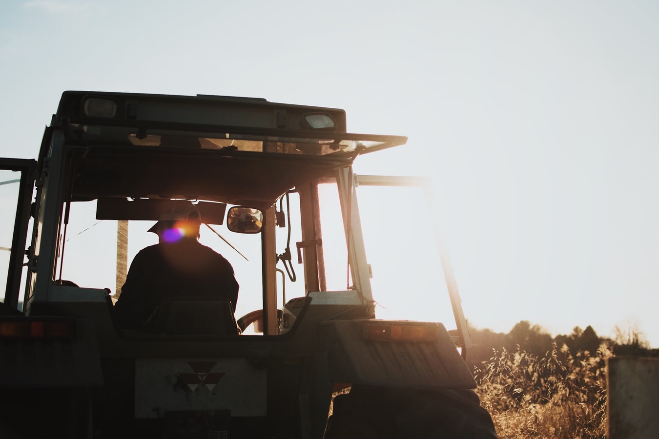 Direcţia Agricolă Judeţeană Olt nu primeşte cereri pentru Programul Tomata şi pentru niciun alt program