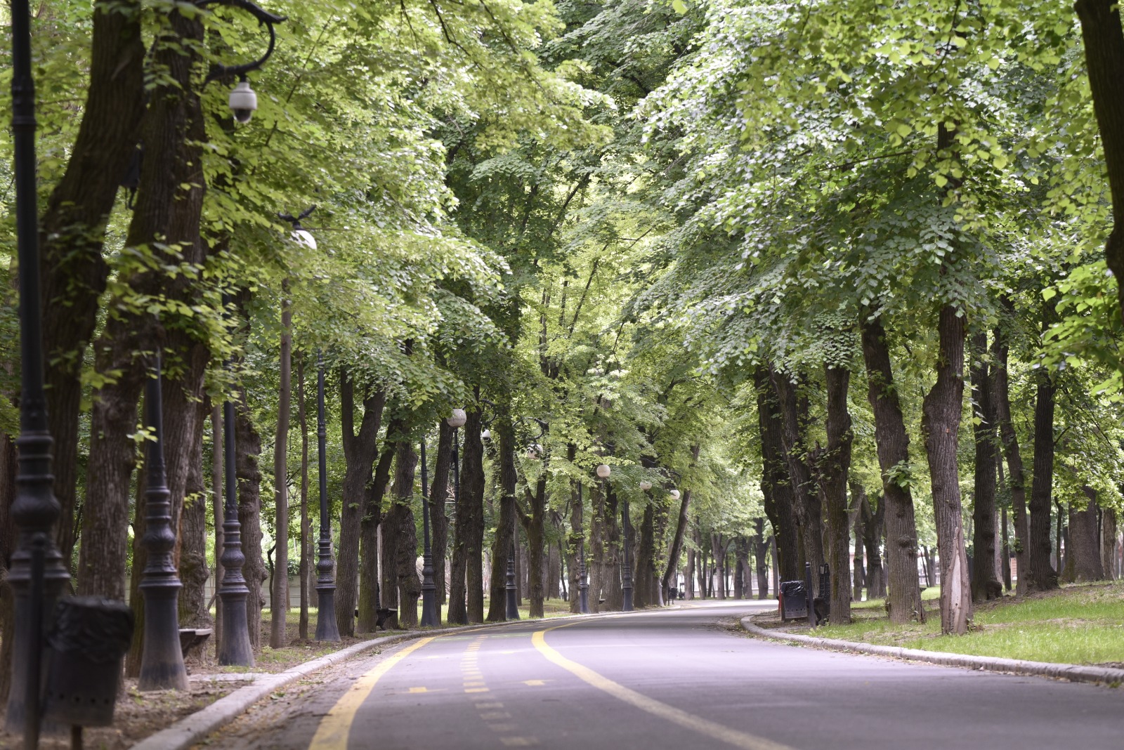 De astăzi, craiovenii vor putea să se plimbe din nou prin parcurile din municipiu și Grădina Botanică