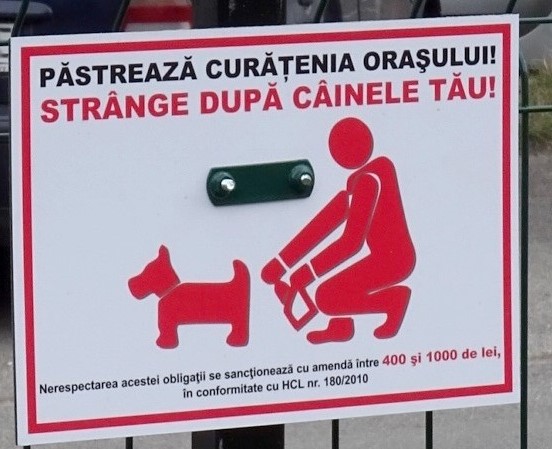 Apel al primăriei Râmnicului către posesorii de animale de companie