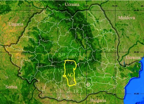 Coronavirus: Argeș, în fruntea listei, la numărul de infectări, alături de București, Suceava și Brașov