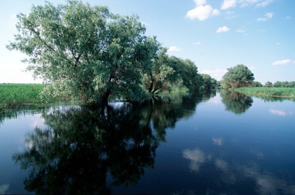 Proiectul „Danube Floodplain”