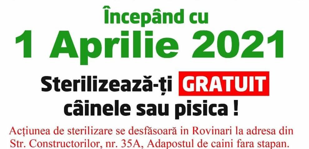 Rovinari – campanie de sterilizare a animalelor de companie