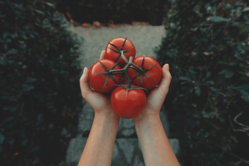 Eliminarea subventiei pentru tomate, o problema pentru agricultorii mehedinteni