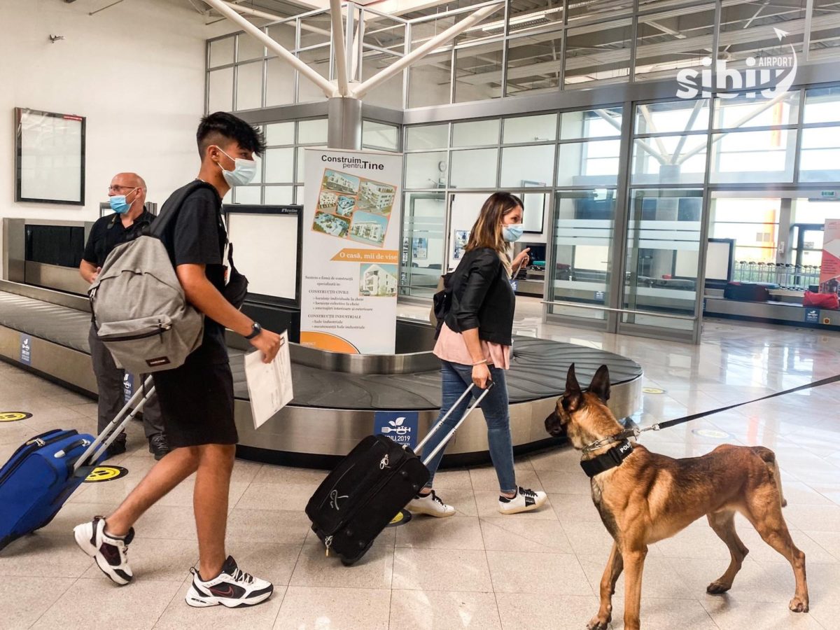 Câini dresați să depisteze persoanele cu Covid, pe Aeroportul Internaţional din Sibiu