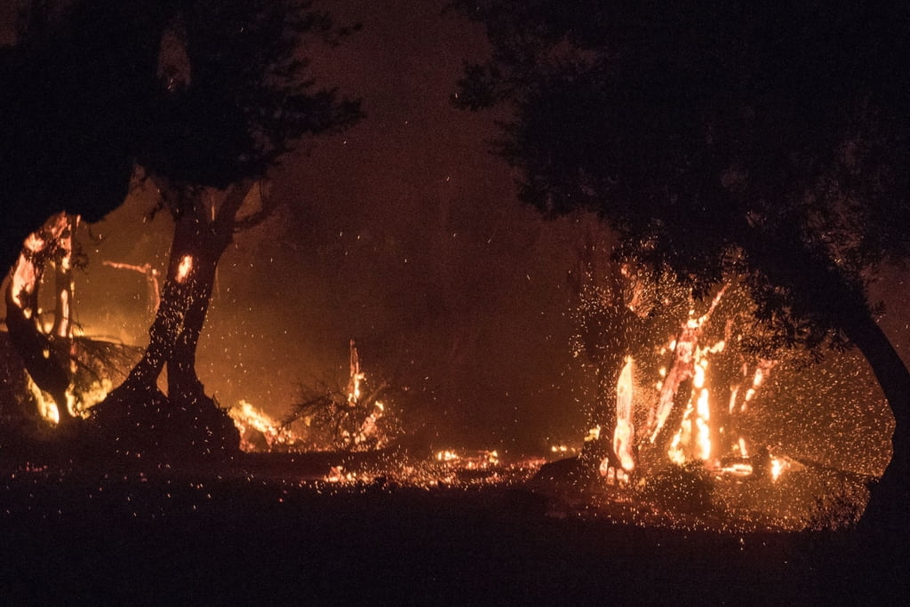 Avertizare MAE: Incendiu puternic, în insula Kefalonia, din Grecia