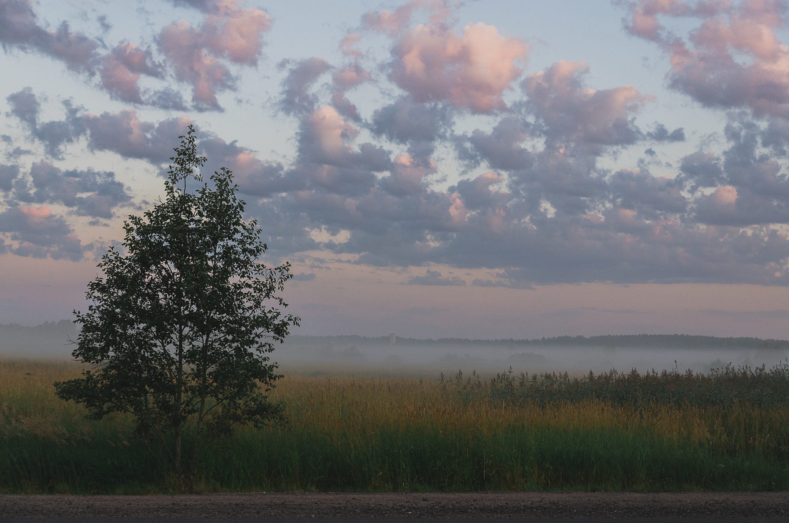 Prognoza meteo: 26 ianuarie