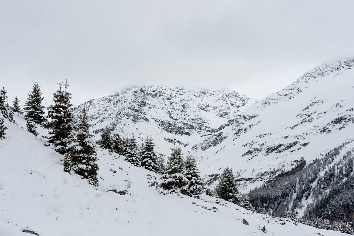 Povestea impresionantă a unei tinere care a urcat pe Kilimanjaro, deși și-a pierdut ambele picioare