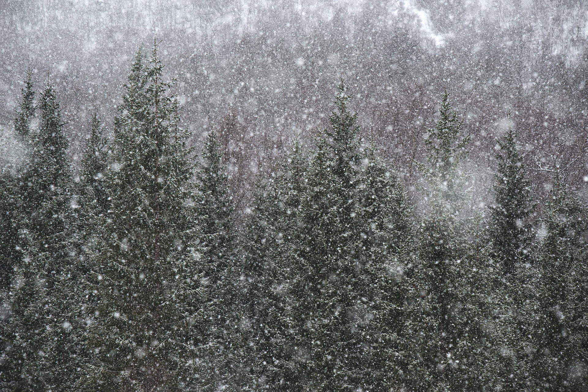 Meteorologii au emis noi avertizări meteo, valabile din această noapte