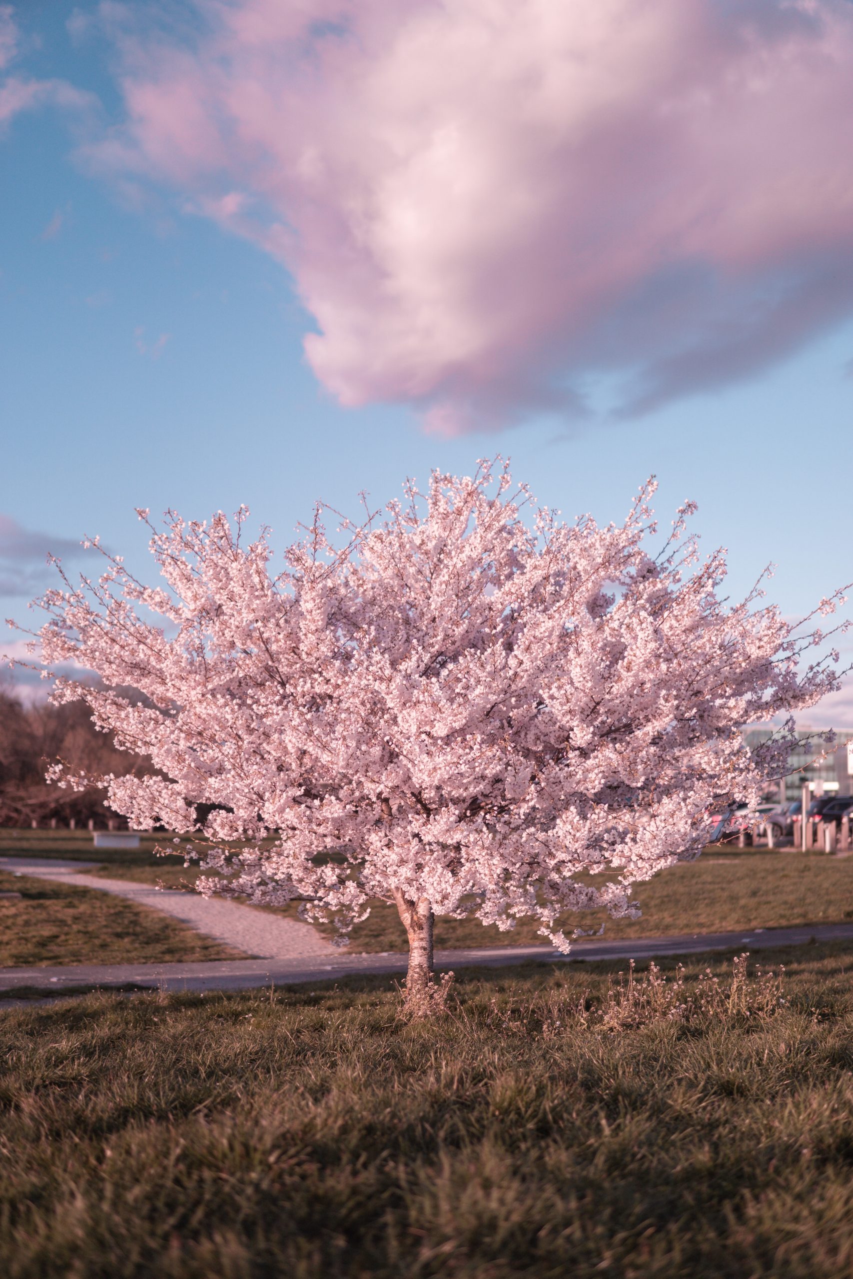 Prognoza meteo – 7 aprilie