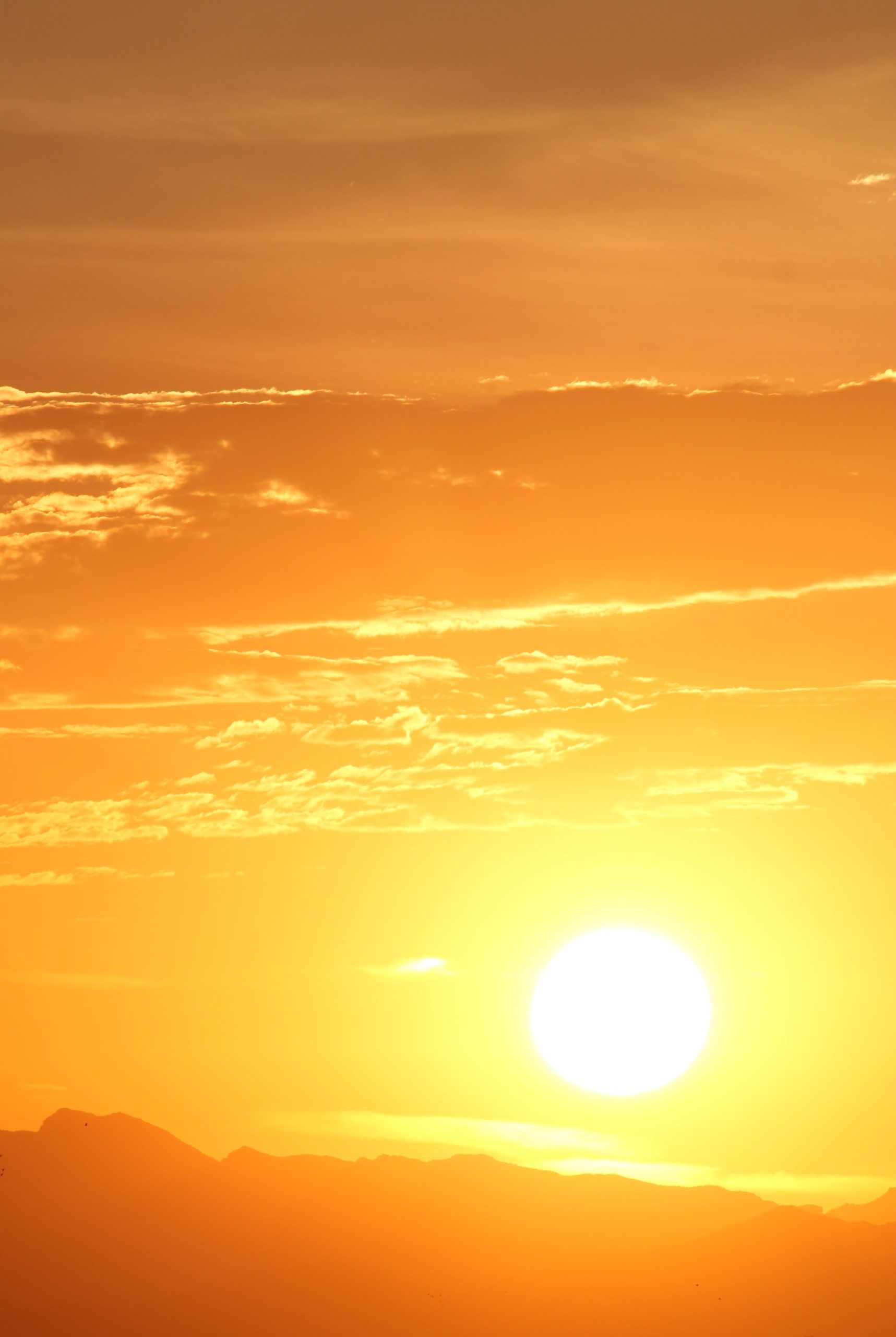 Meteorologii anunţă un sfârşit de săptămână fierbinte în mare parte din ţară