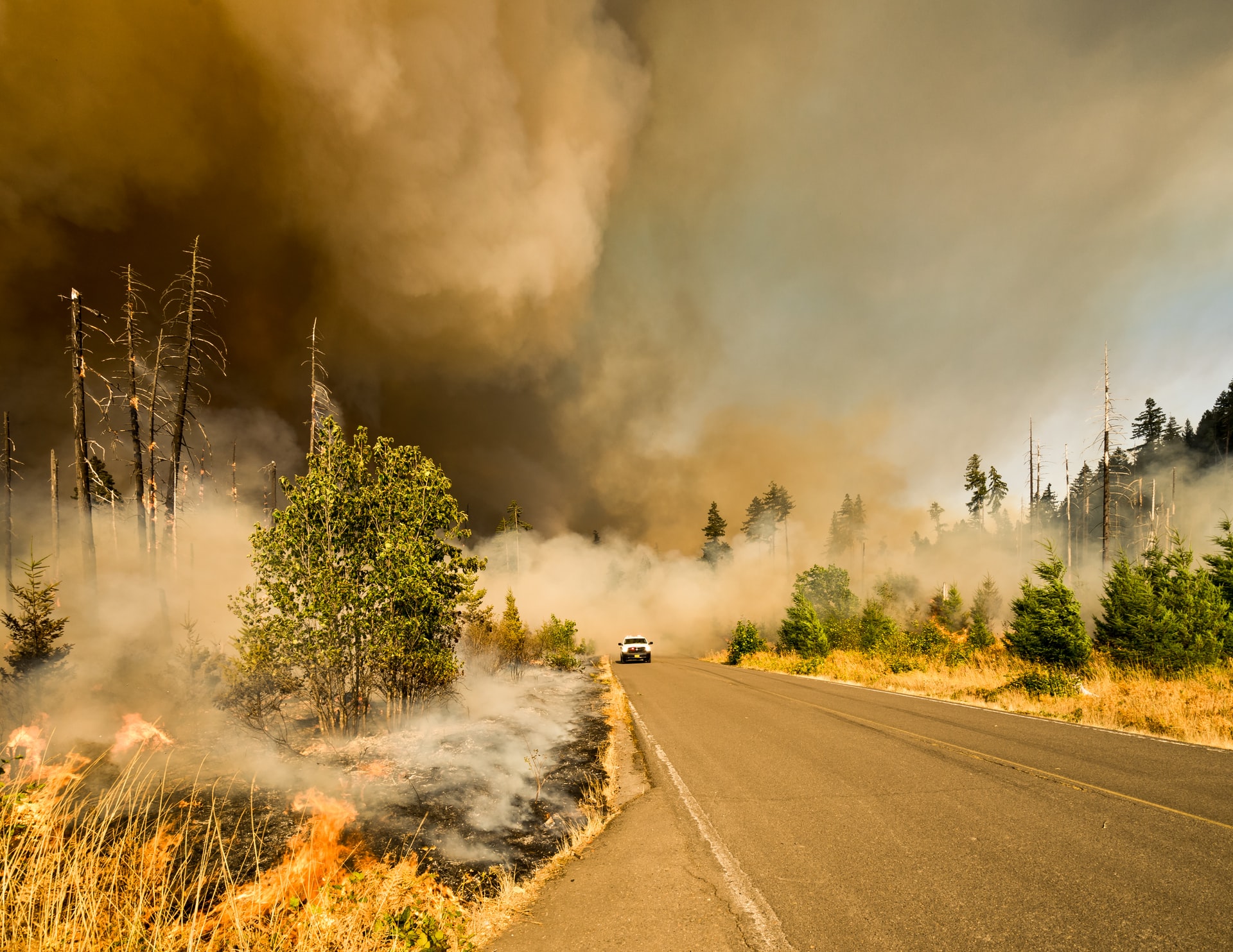 Autorităţile din Grecia au impus restricţii de acces în zonele ameninţate de incendiile de vegetaţie