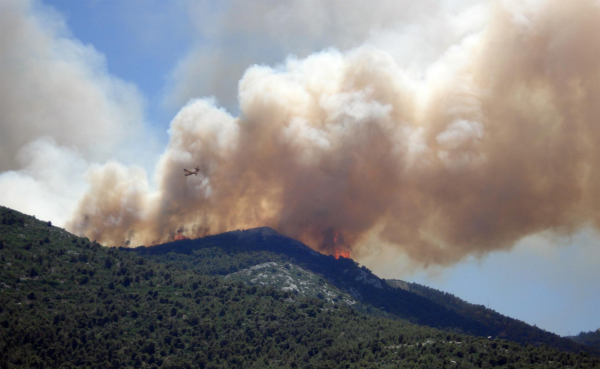 Incendiile de vegetaţie afectează puternic Grecia în această perioadă