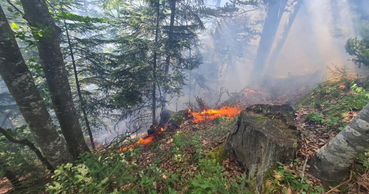 ISU Vâlcea: Lupta cu flăcările continuă, în zona muntelui Zănoaga Câinenilor (audio)