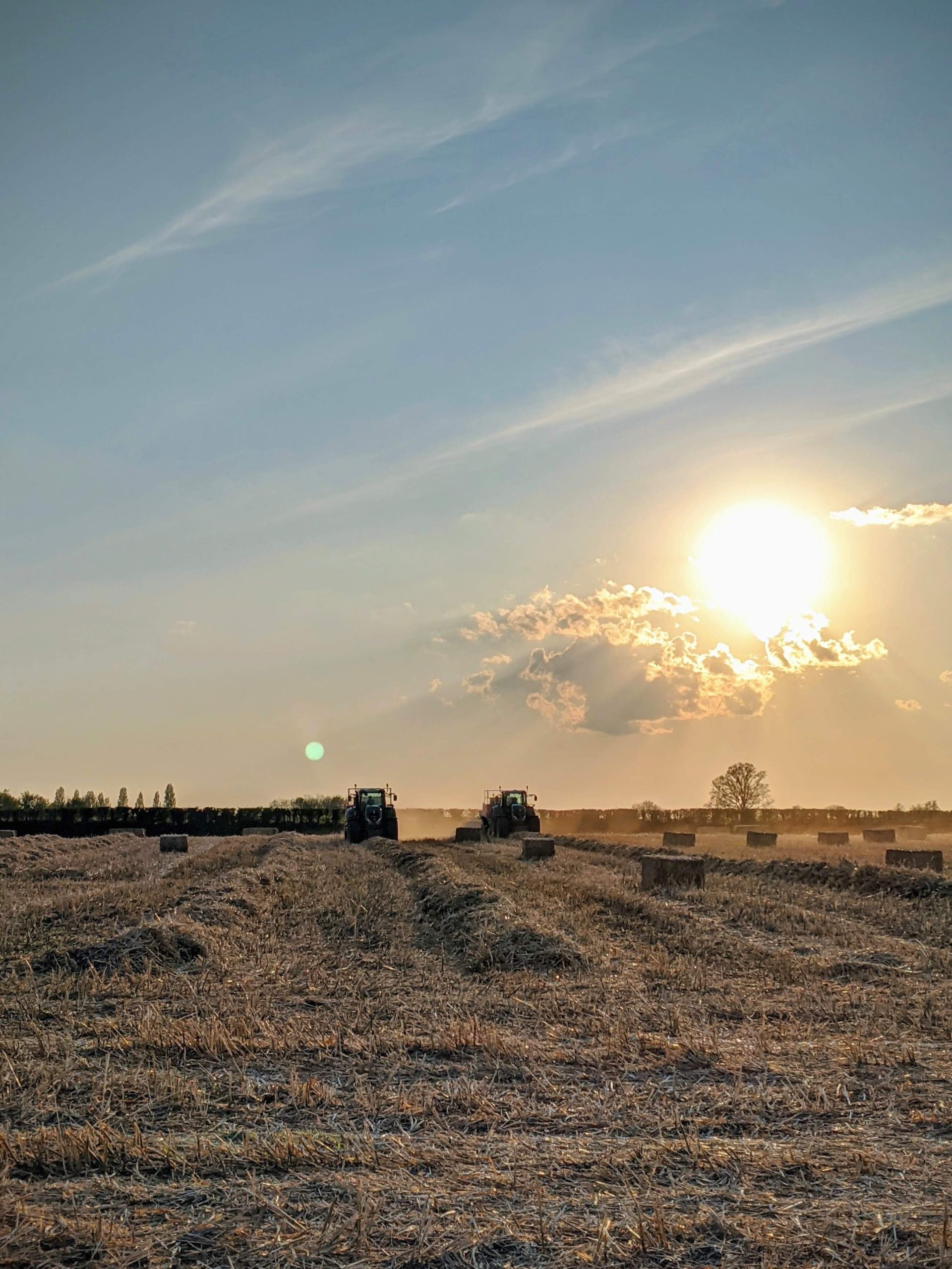 Instituirea a două scheme de ajutor de stat pentru agricultorii afectați de secetă, discutata in Guvern