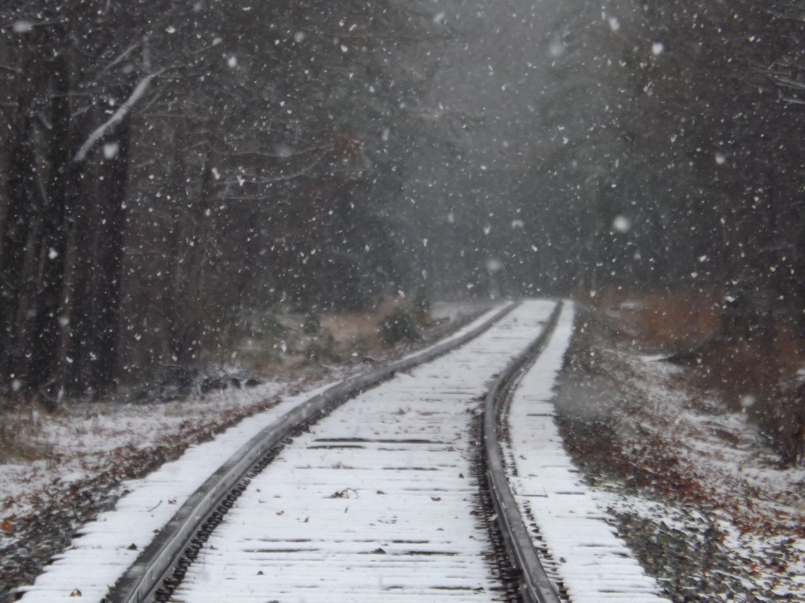 Traficul feroviar de călători se desfăşoară, şi astăzi, în funcţie de condiţiile meteo