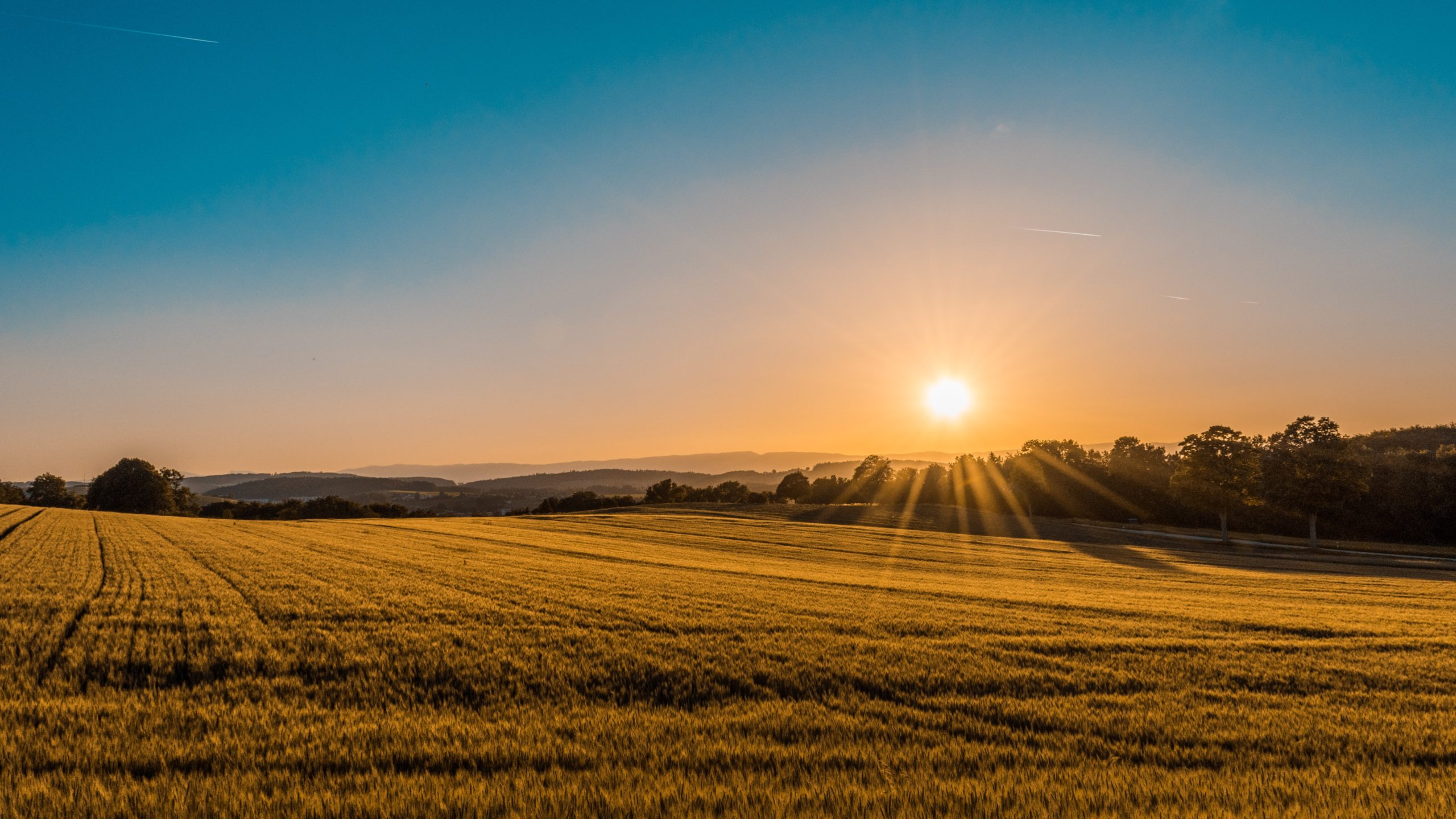 Ministrul Agriculturii, Petre Daea, a declarat ieri, că perspectivele pentru anul agricol 2023 sunt bune