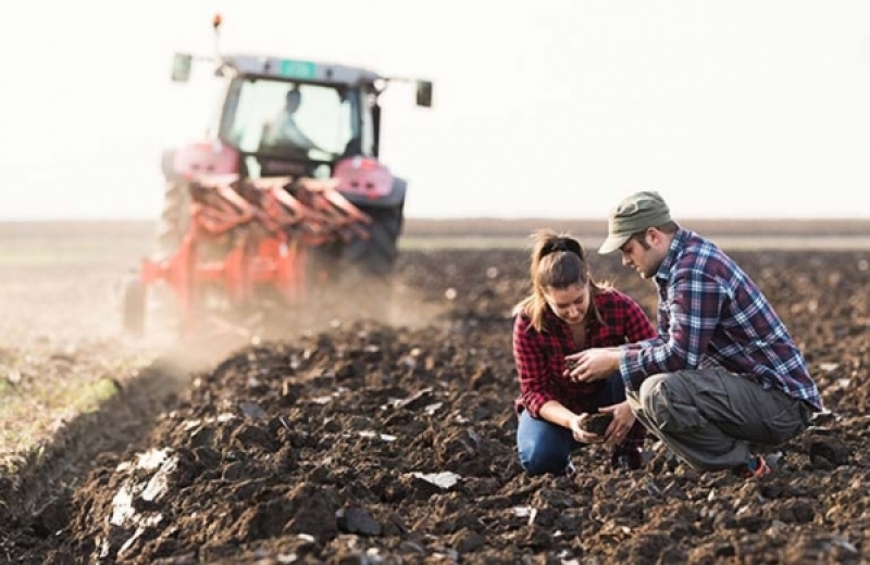 Agricultorii români, în pragul falimentului