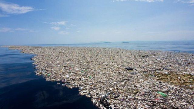 „Continentul de plastic” este colonizat de de plante și viețuitoare marine