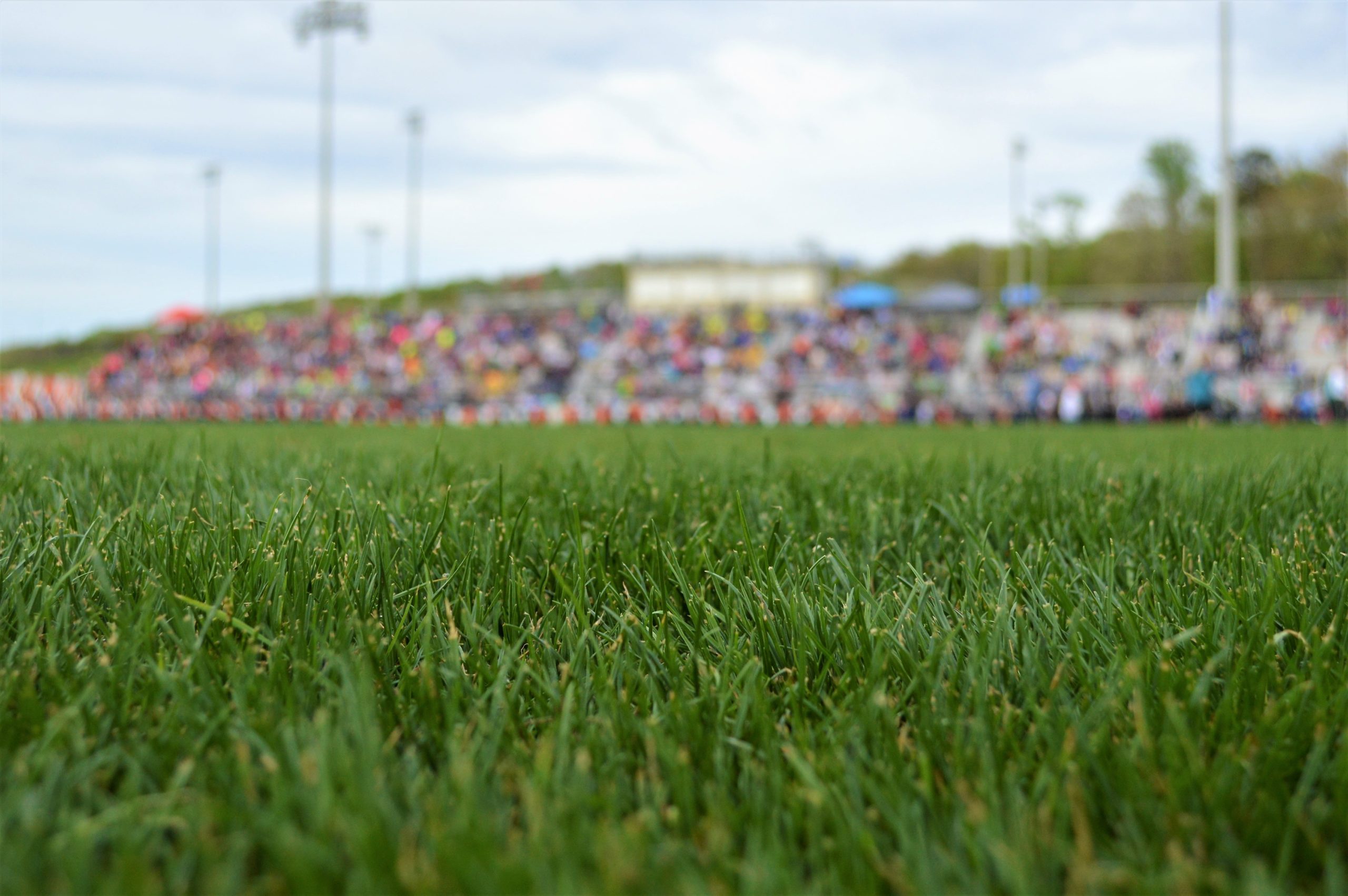 Autoritățile din Târgu Jiu au refăcut gazonul de pe Stadionul Municipal