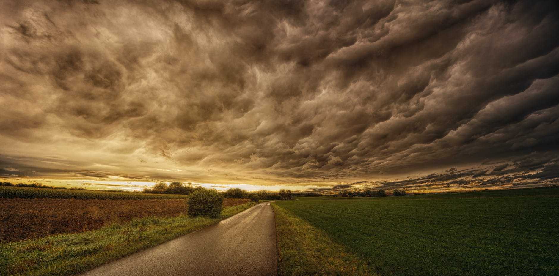 road in between grass field under grey sky