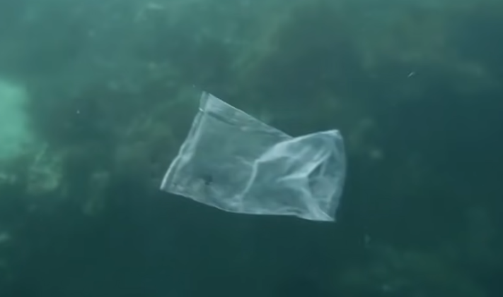 3 iulie, ziua internațională fără pungi de plastic