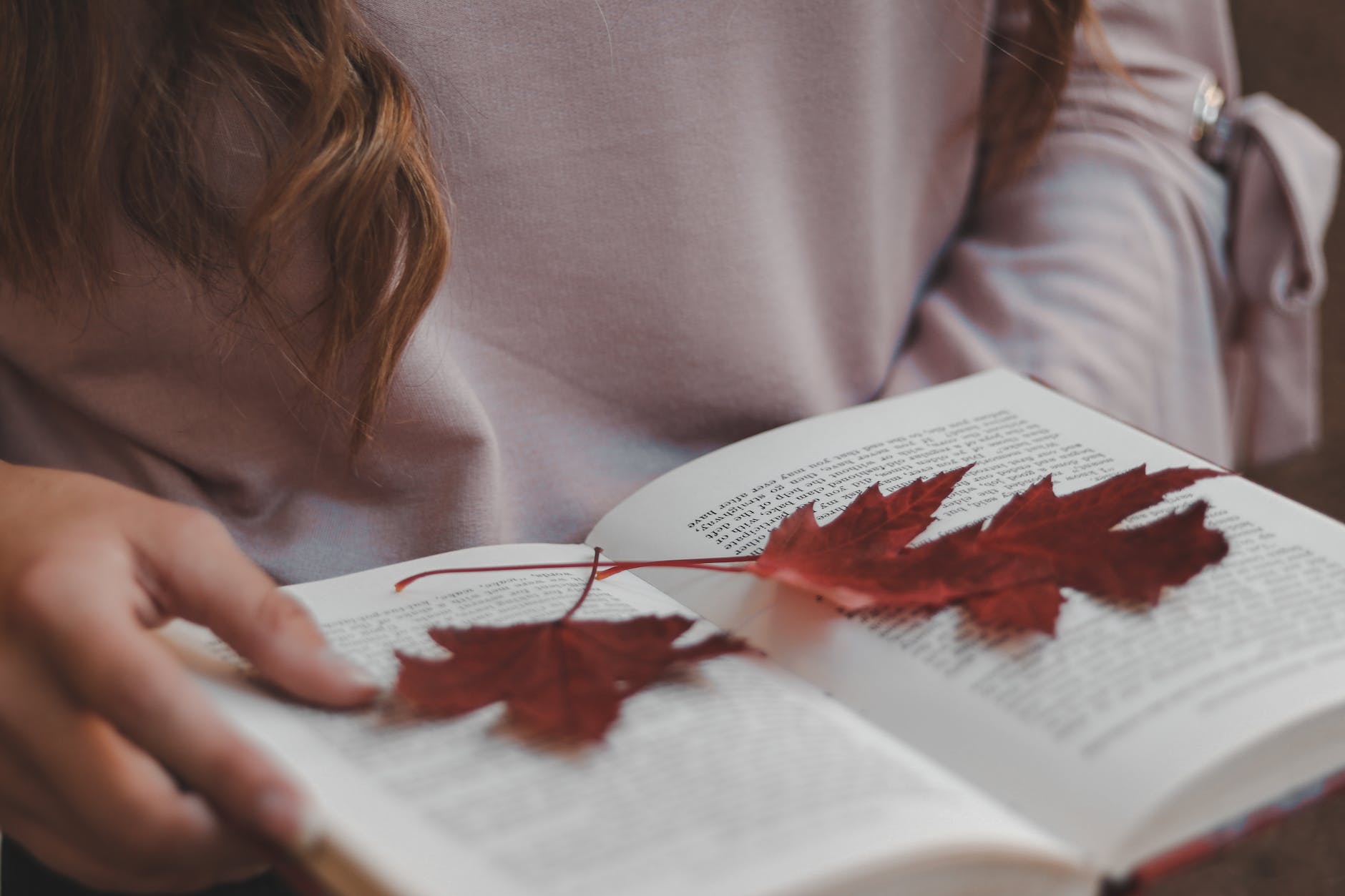 red leaf on book