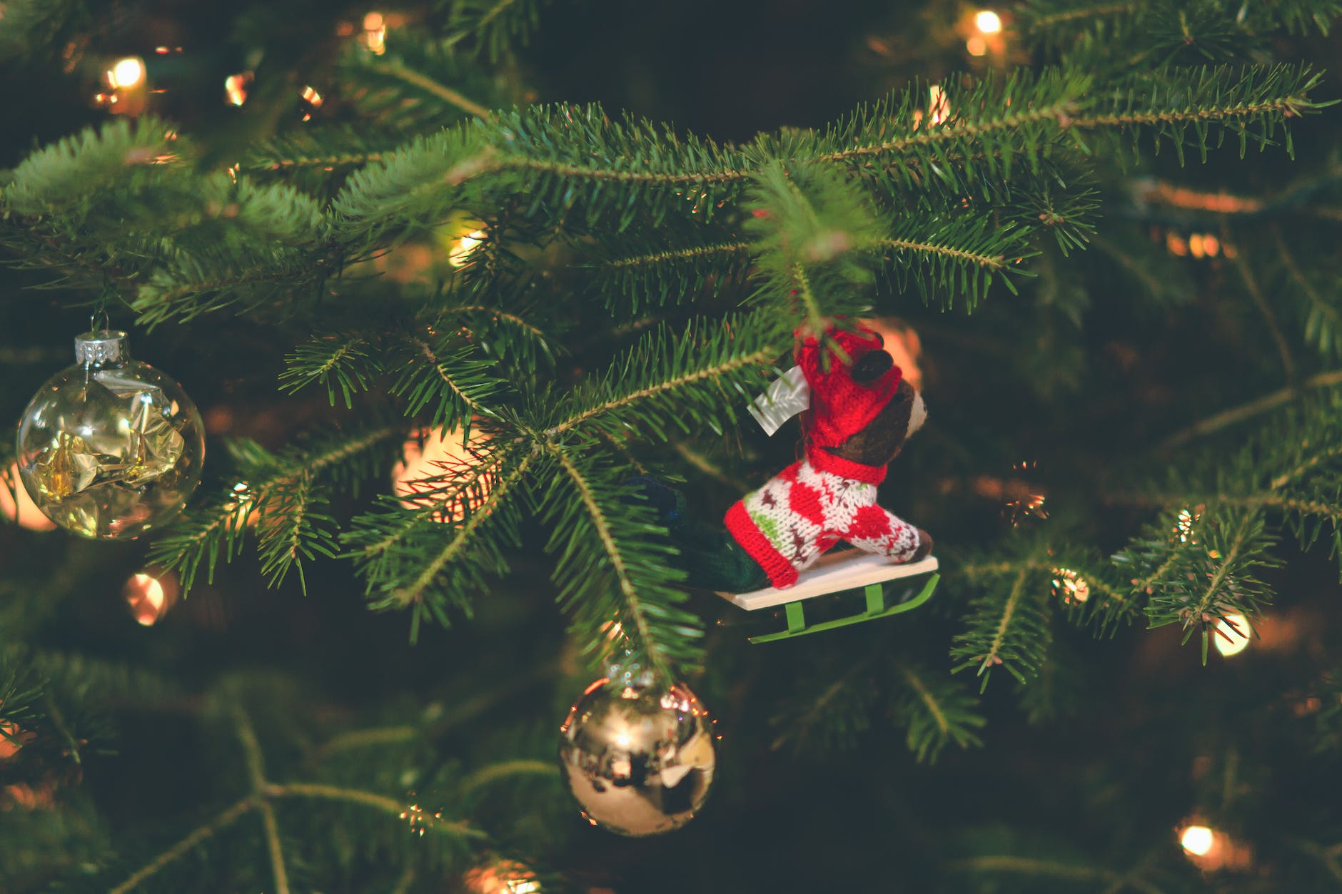 shallow focus photography of red and white hanging christmas tree decor