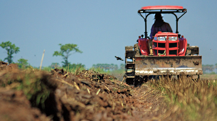 Guvernul a aprobat măsurile de sprijin pentru agricultori (AUDIO)