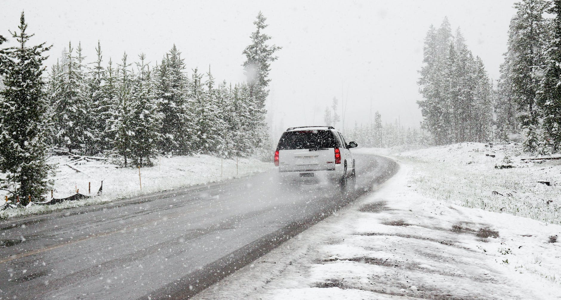 white suv on road near snow covered trees