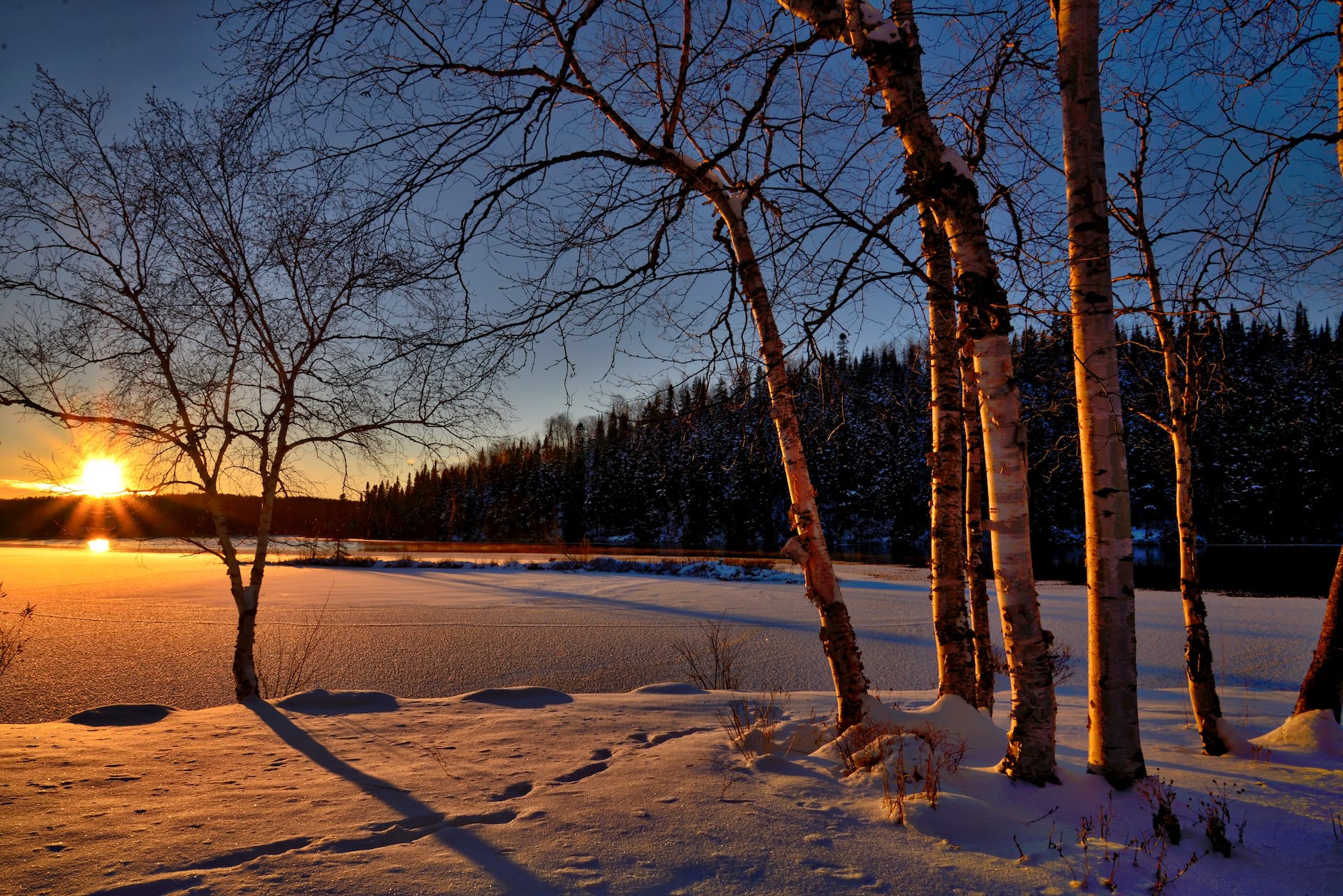 snowy field during golden hour