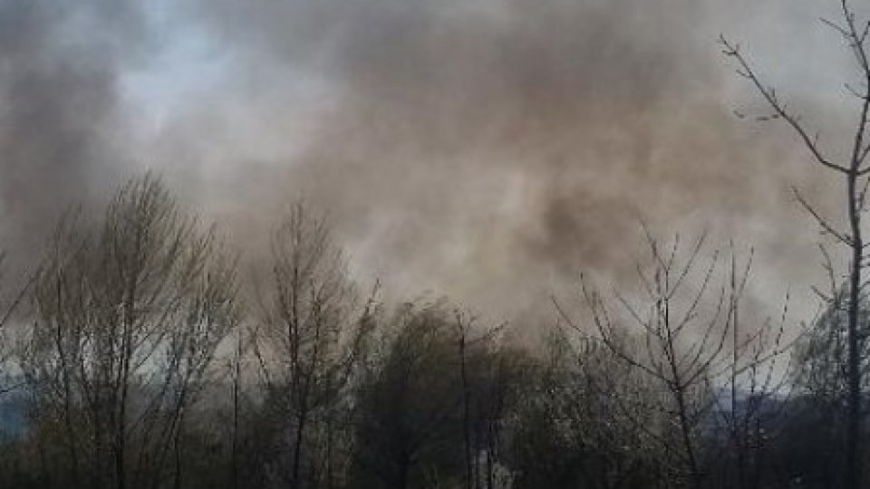 Incendiu de vegetație în comuna Florești, județul Mehedinți