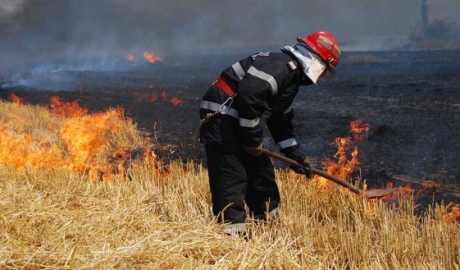 Pompierii doljeni au intervenit, la acest sfârșit de săptămână, în 11 incendii de vegetație