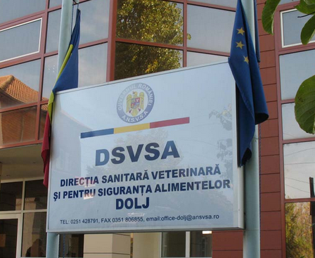 Recomandări DSVSA Dolj