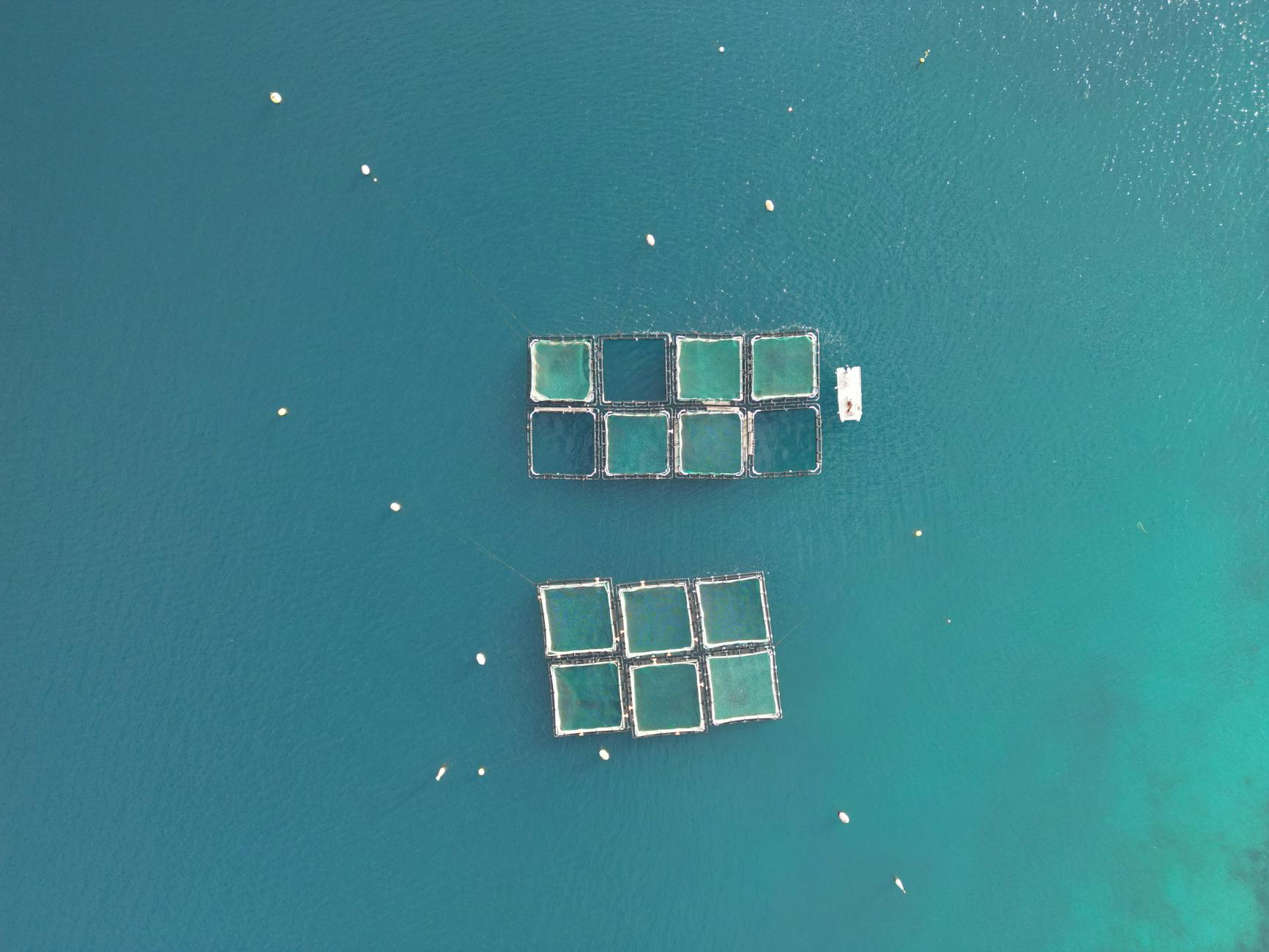 an aerial shot of an aquaculture farm