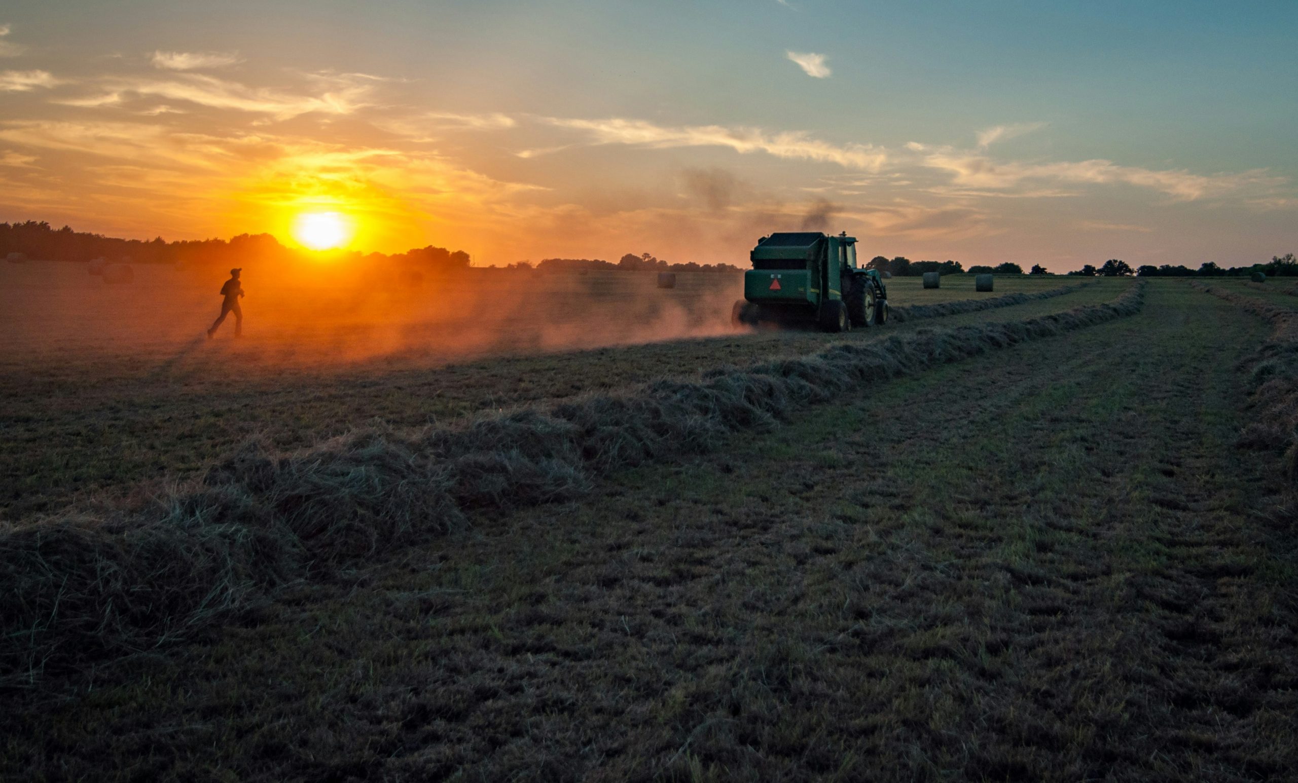 Proprietarii de culturi agricole, care au avut de suferit din cauza secetei, pot solicita despăgubiri