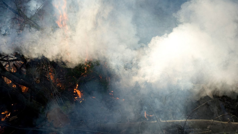 ISU Vâlcea: Arde pădurea de la Băile Olăneşti