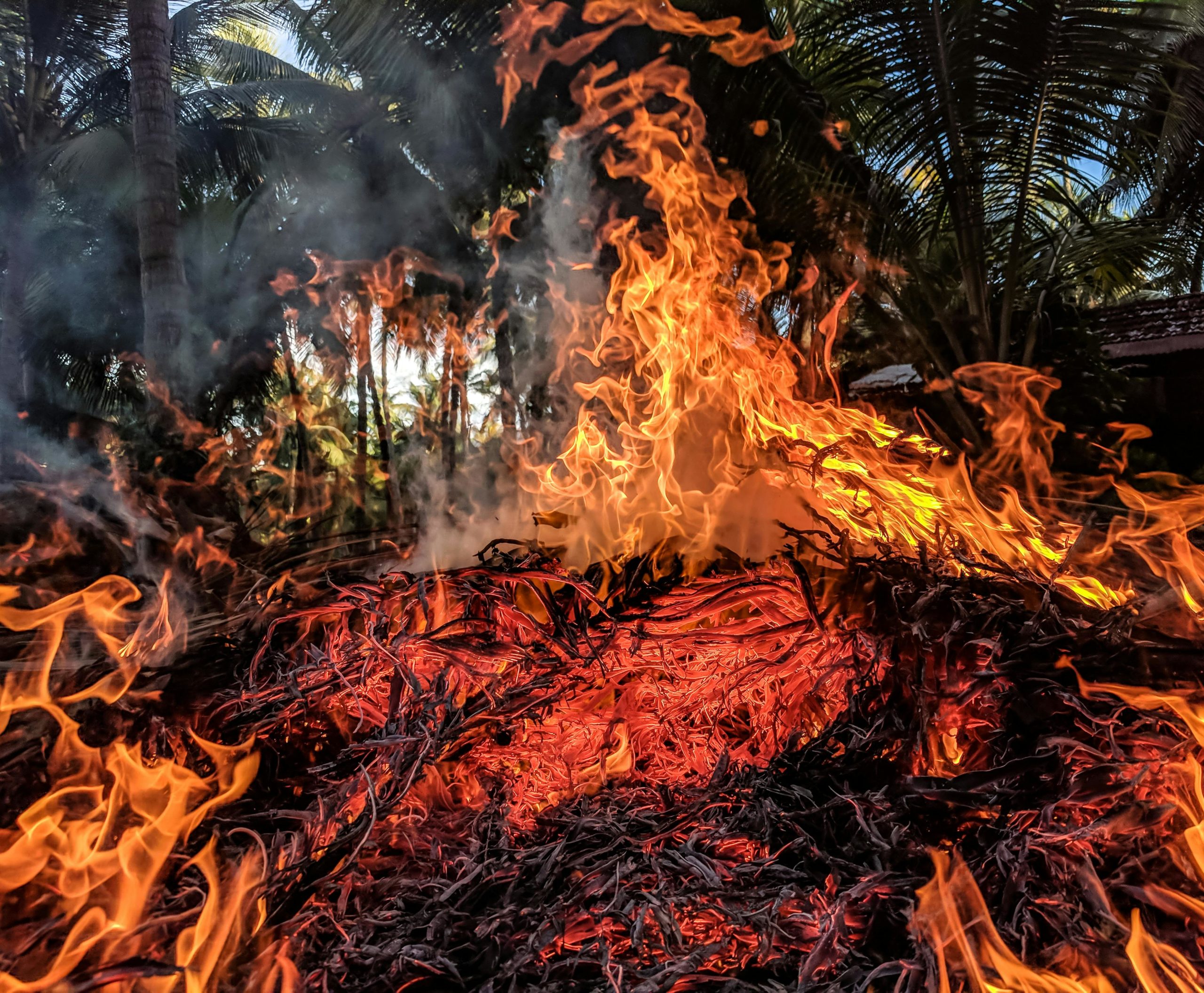 Incendii de vegetație în sudul Europei