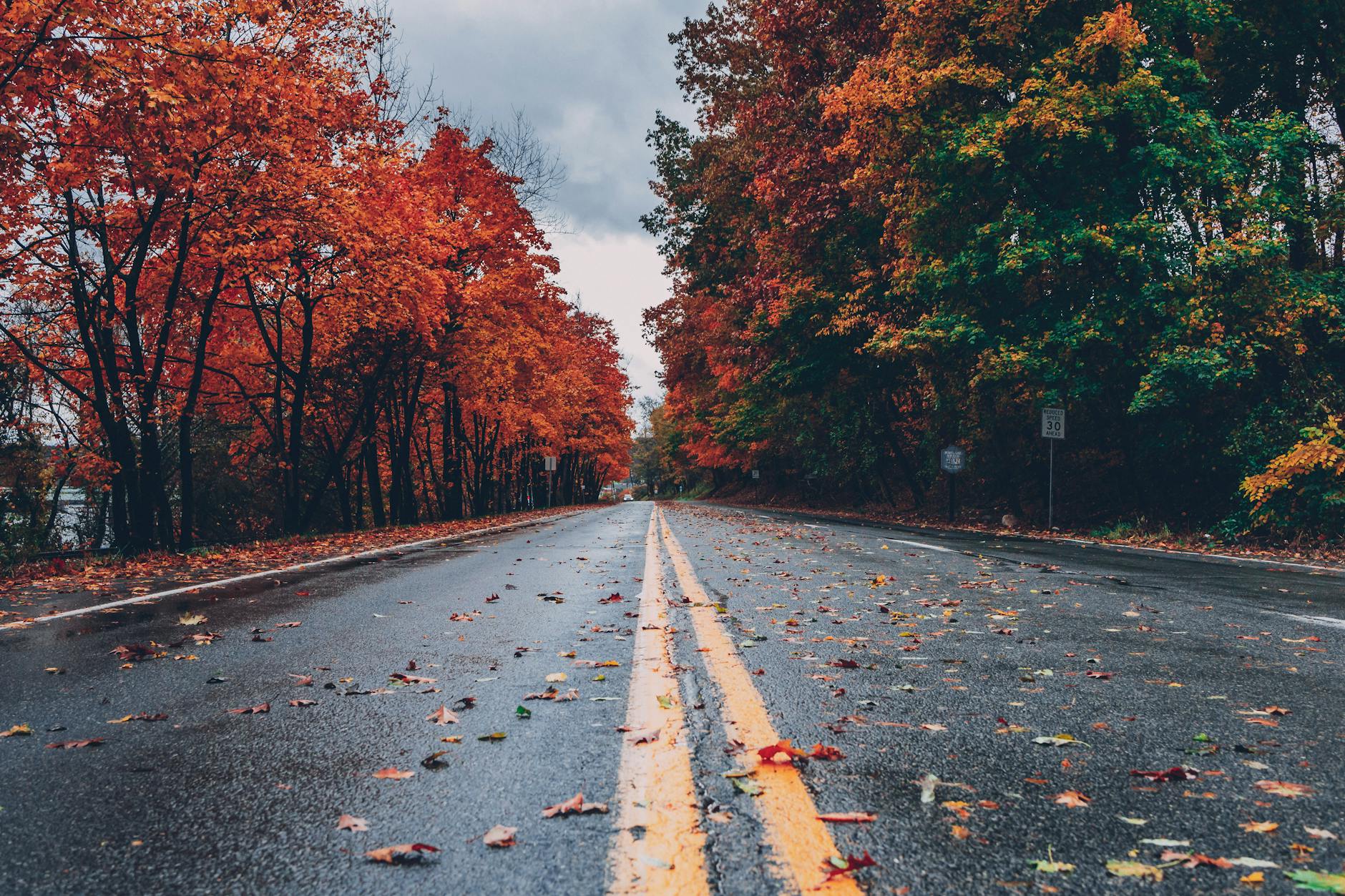 concrete road between trees