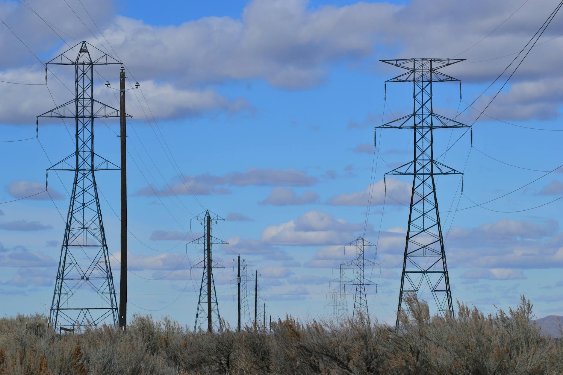 gray electric posts