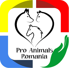 Gorj: program pilot pentru siguranța cetățenilor și a animalelor