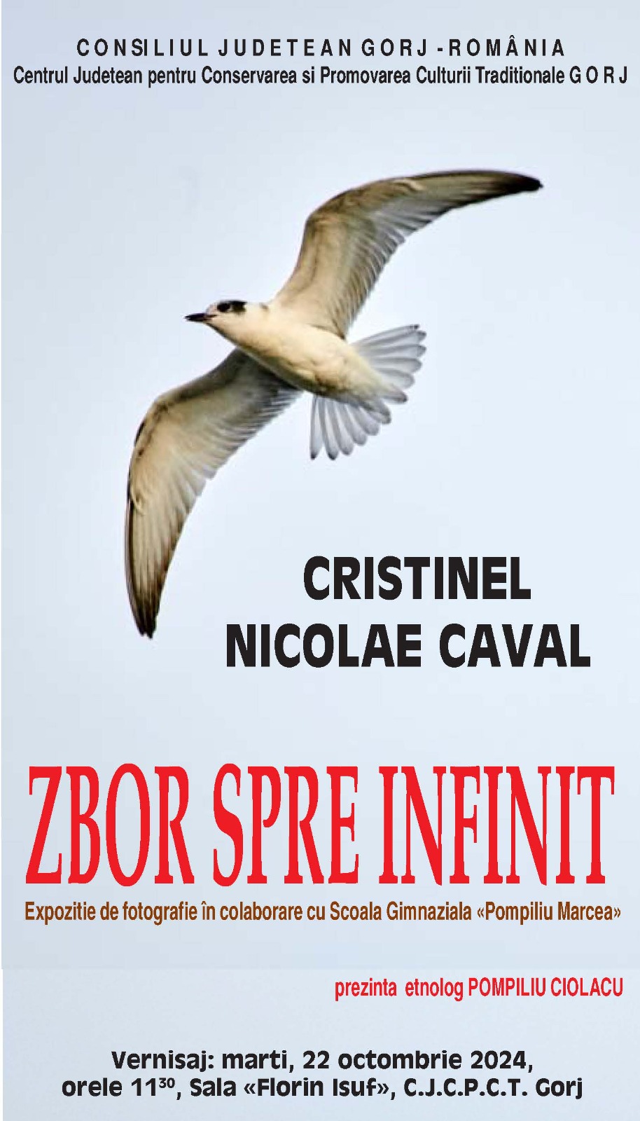 „Zborul spre infinit” – Expoziție de fotografie dedicată păsărilor din mica deltă de lângă Târgu Jiu