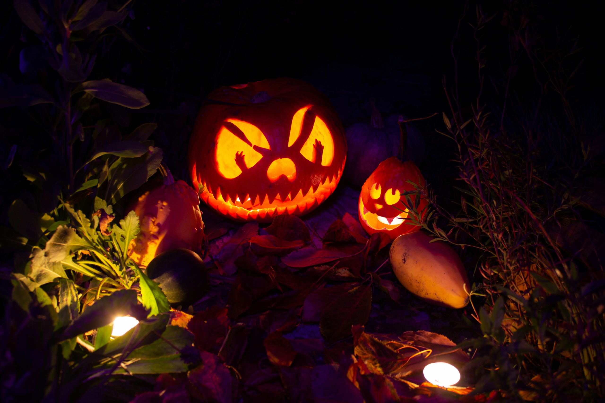 Halloween Party la Biblioteca Județeană ‘Alexandru și Aristia Aman