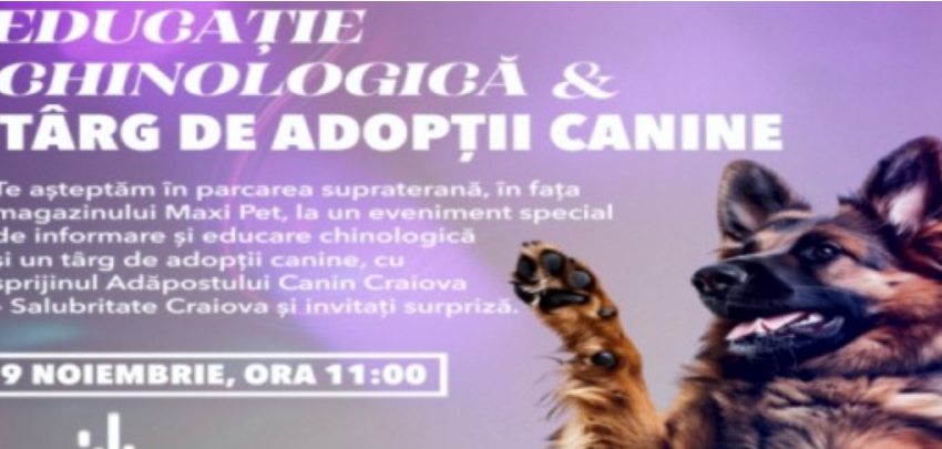 Târg de adopții canine la Craiova