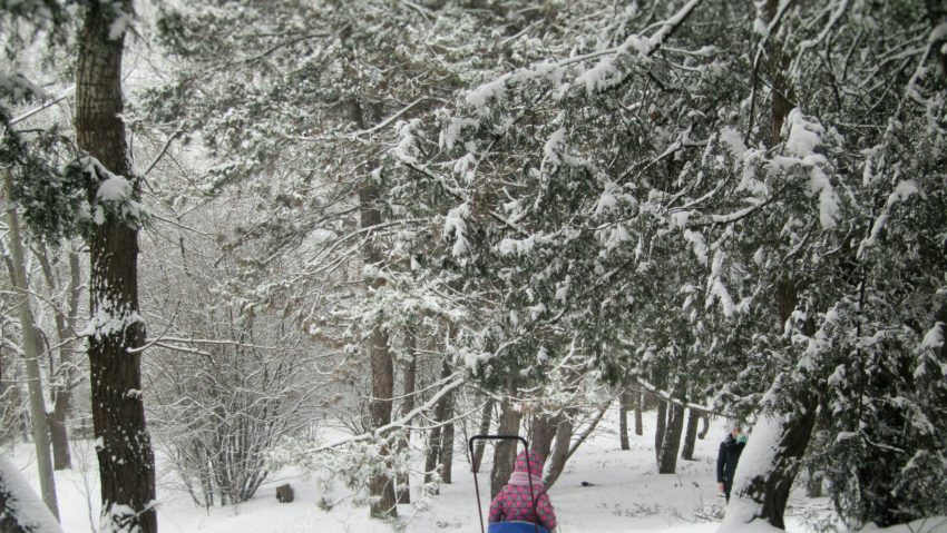 Iarna își face simțită prezența în România. Regiunile unde va ninge abundent