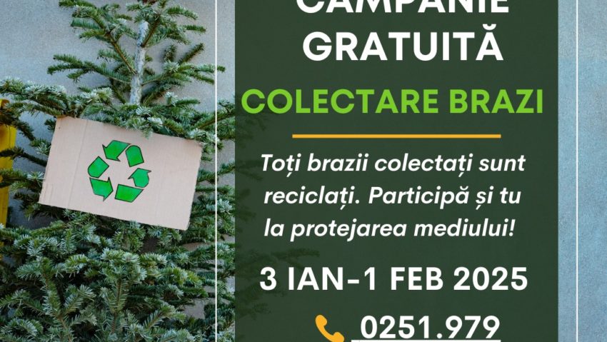 Campanie de colectare gratuită a brazilor în Municipiul Craiova!