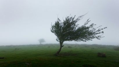 Alertă meteo în toată România. Cod galben și portocaliu de vijelii și vânt | HARTĂ